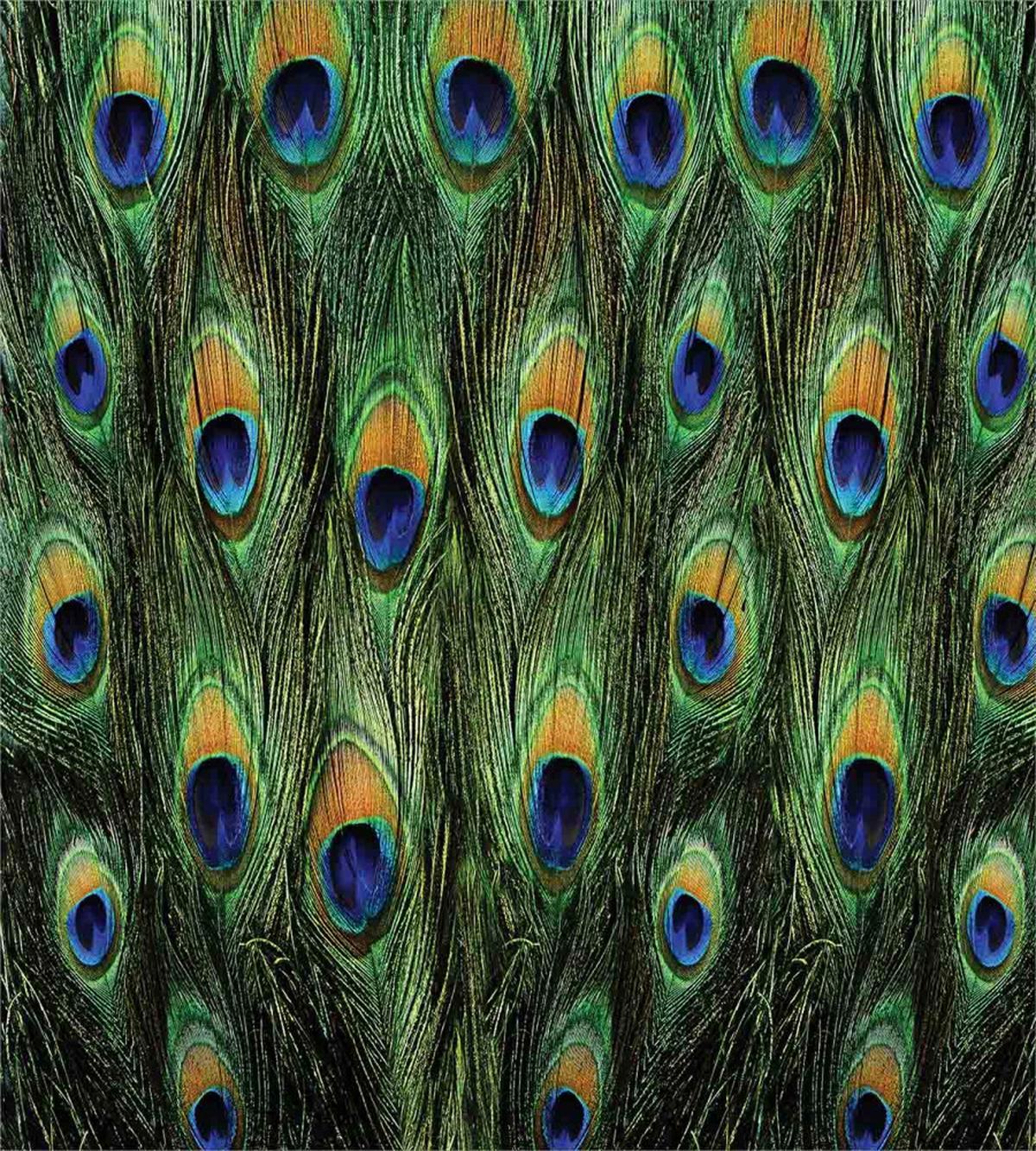 Exotic Animal Feathers — Pattern