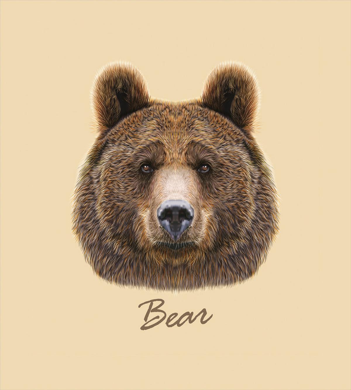 Strong Wild Beast Animal — Pattern