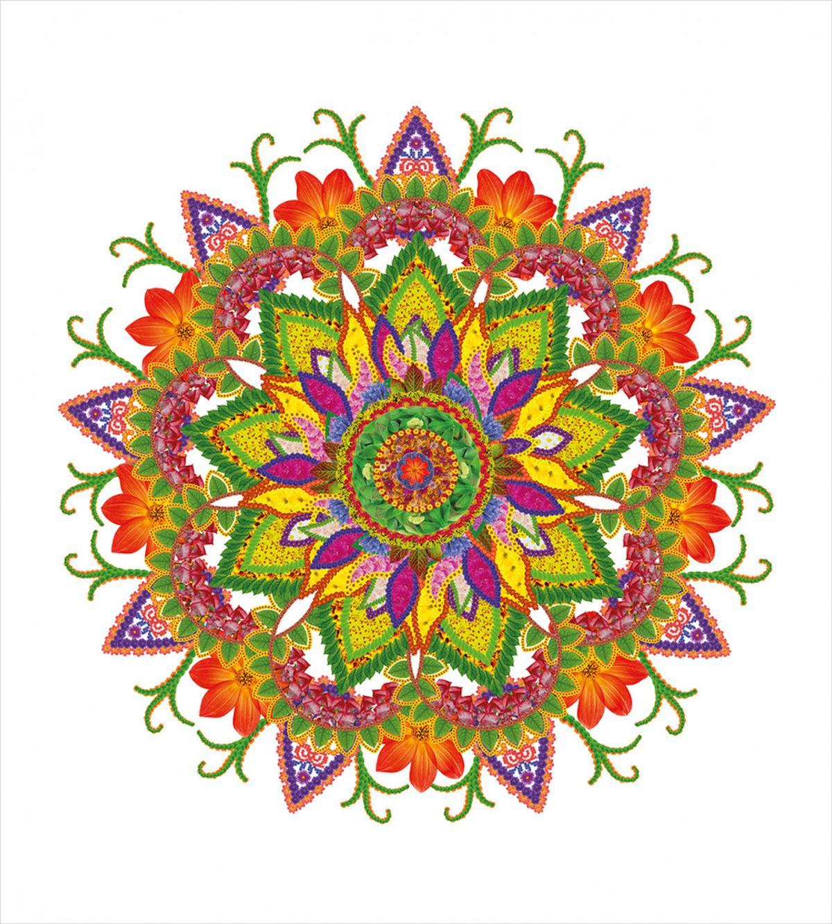 Vibrant Floral Mandala — Pattern
