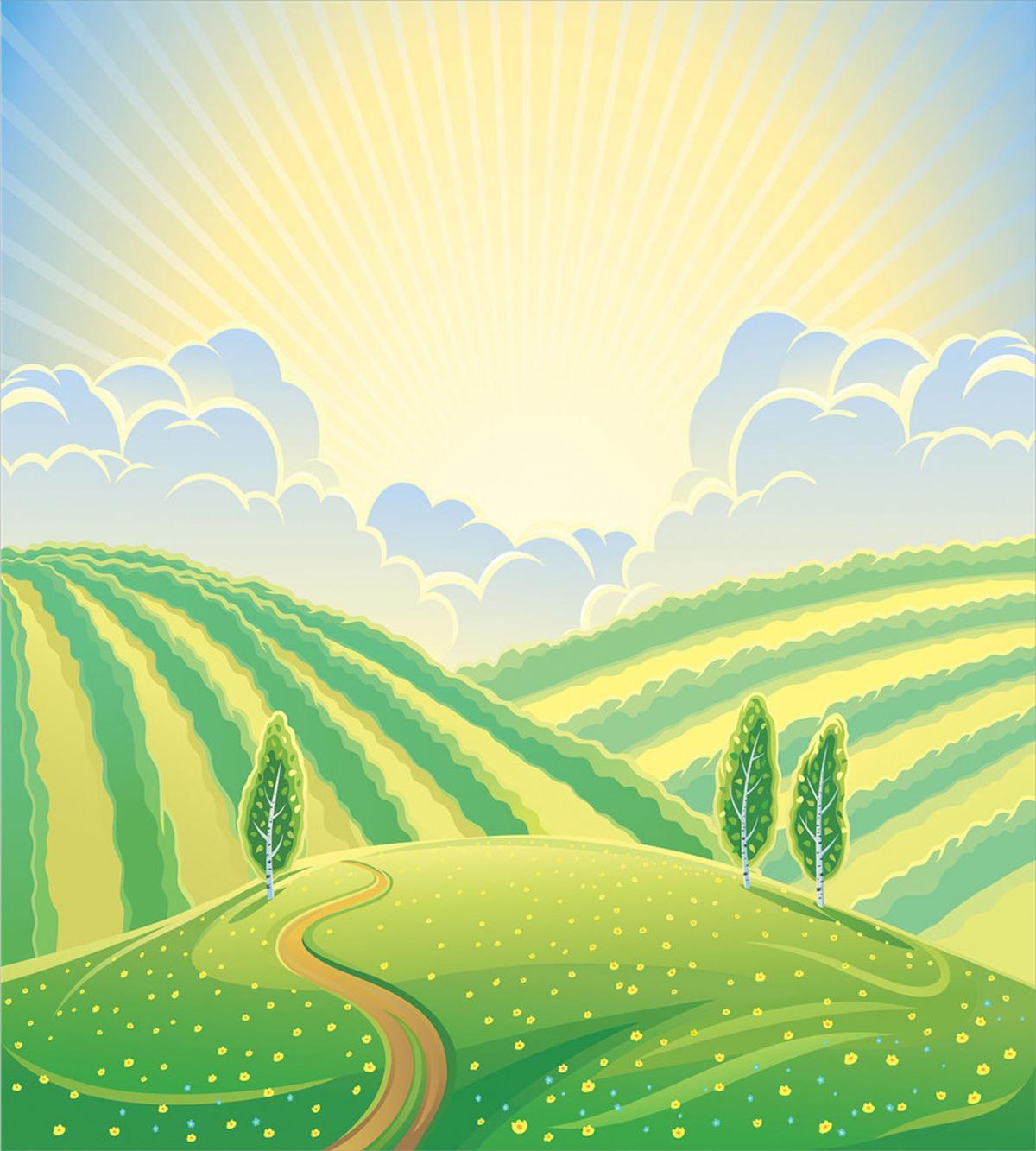 Green Field Graphic — Pattern
