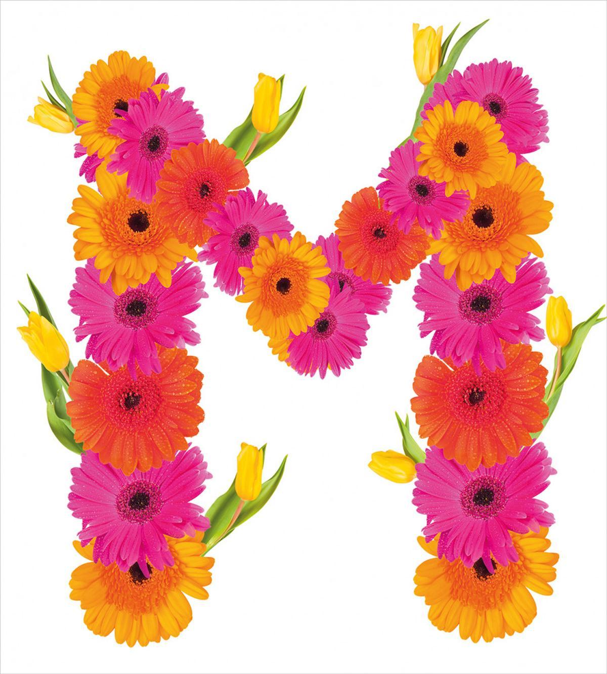 Gerbera Flowers Tulips — Pattern
