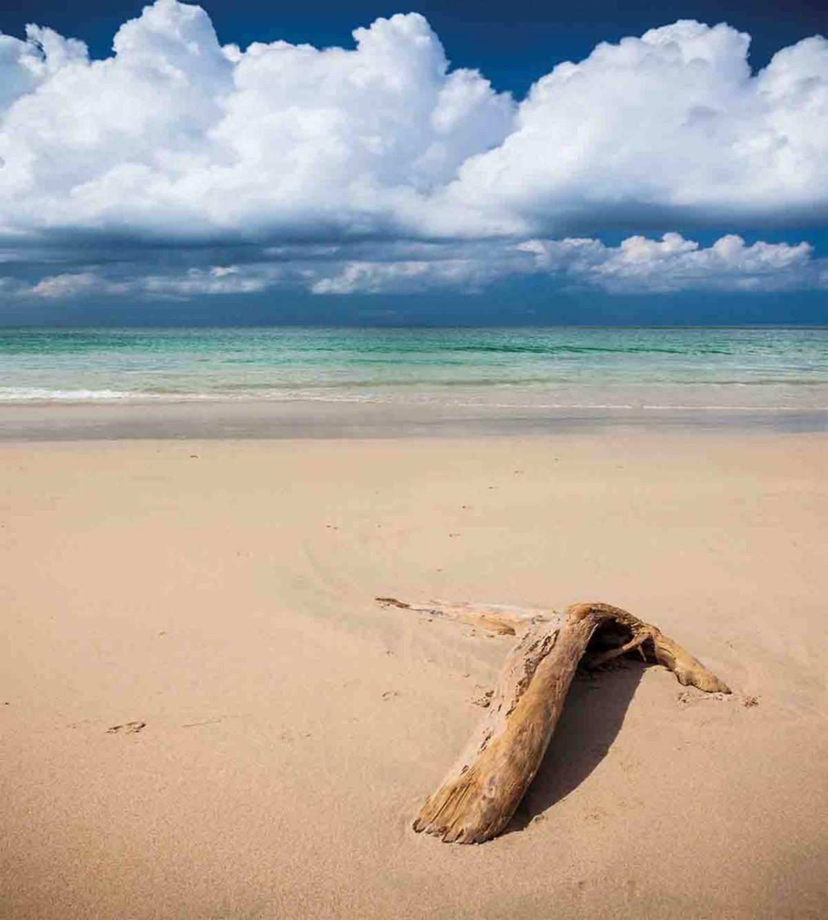 Sandy Beach and Clouds — Pattern