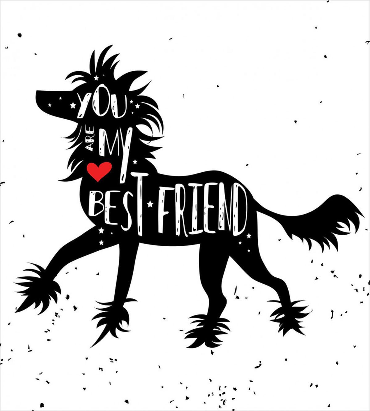 Pet Family Friendships — Pattern