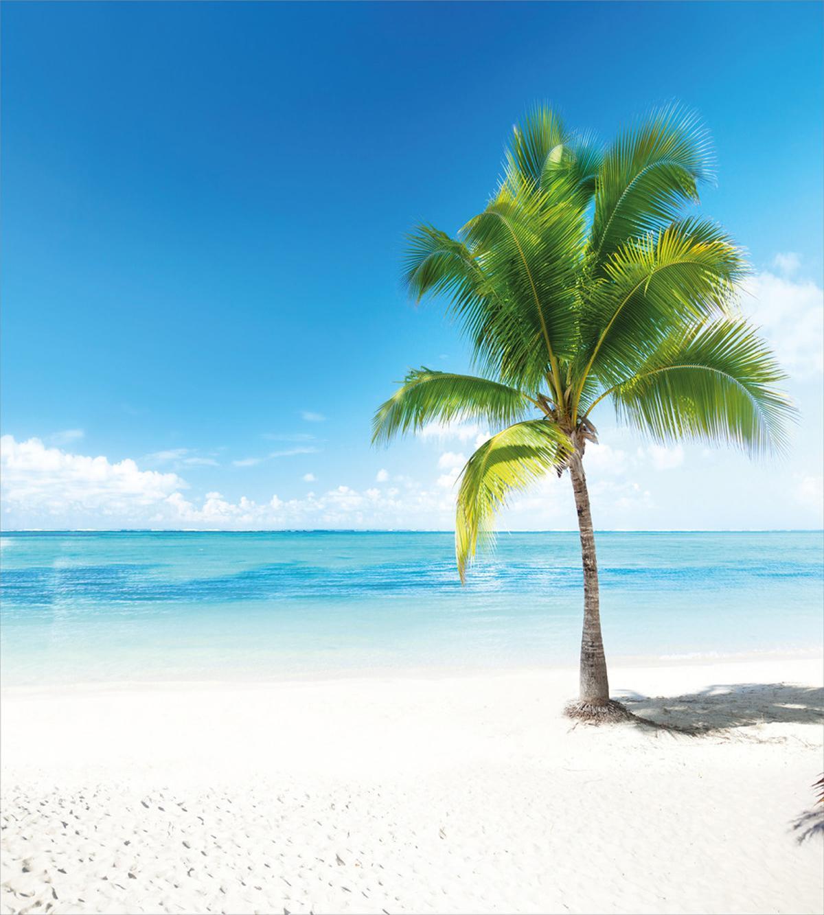 Sea Ocean Palm Trees — Pattern