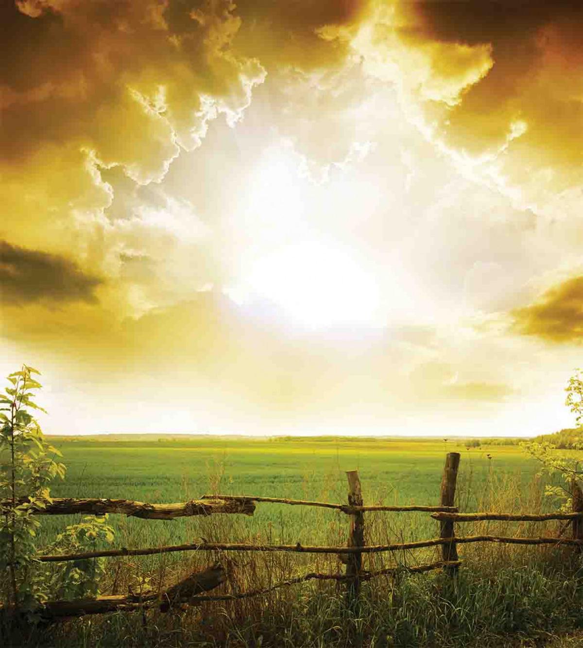 Sunset on Spring Field — Pattern