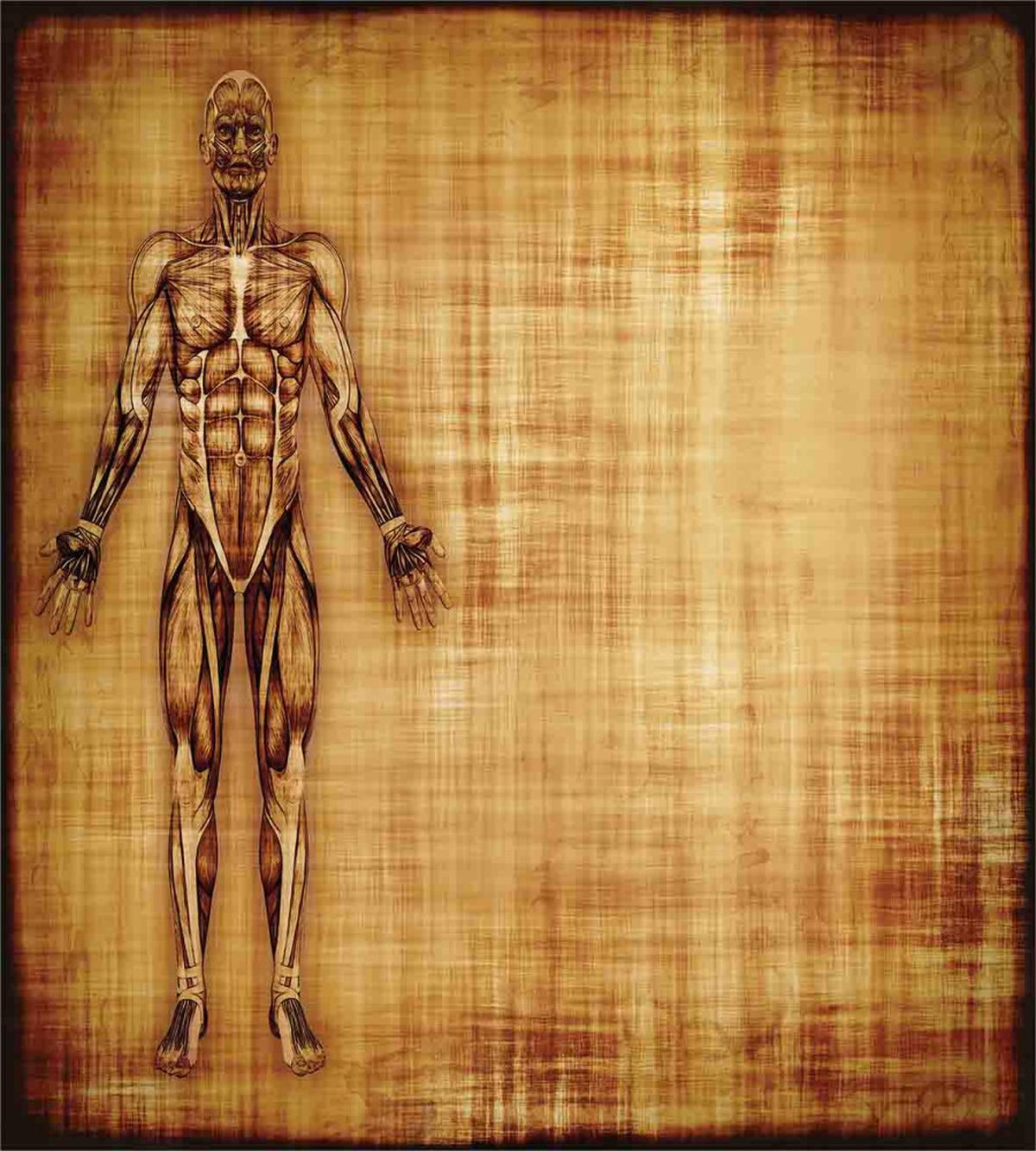 Human Body Style — Pattern
