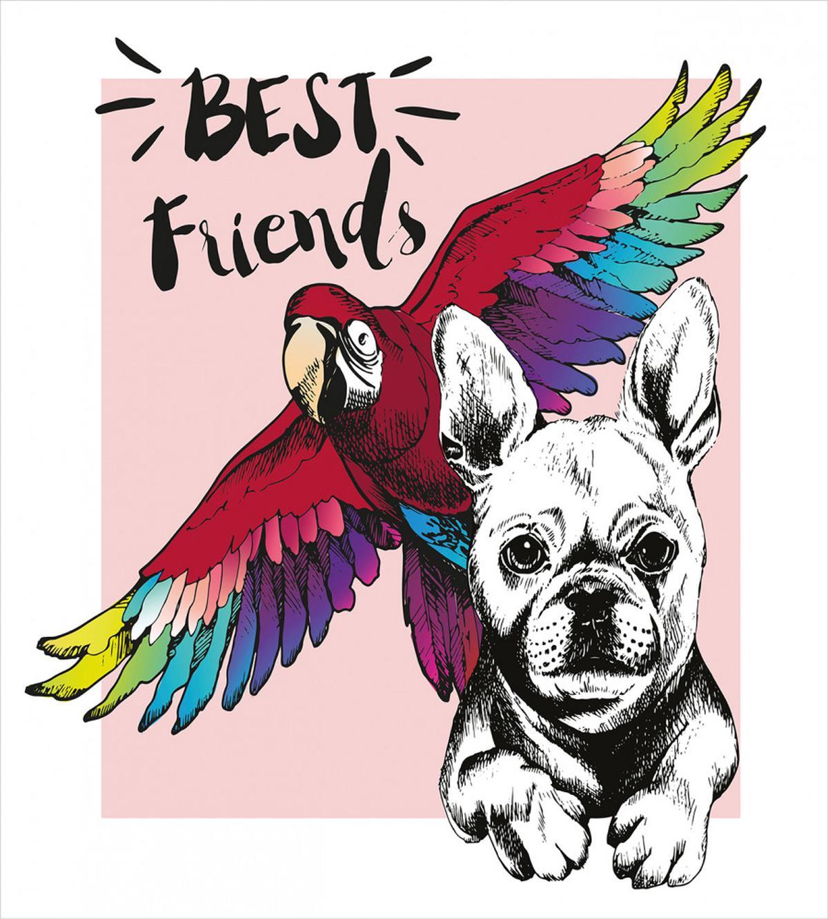 Bulldog Parrot Friends — Pattern