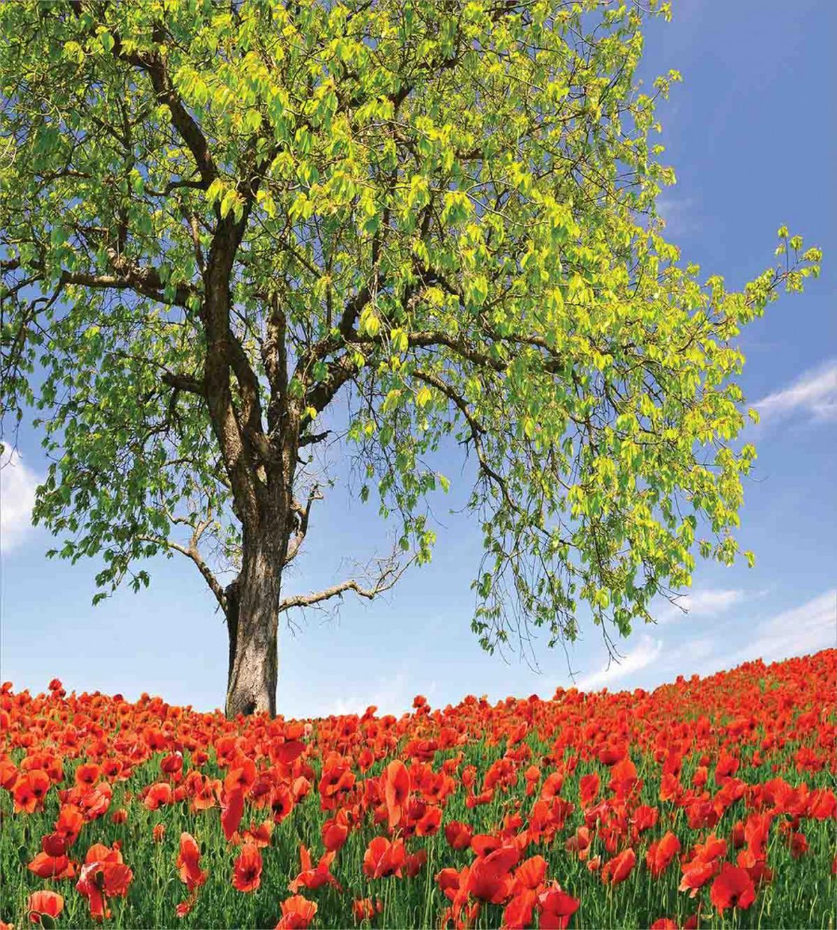 Spring Scenery Flowers — Pattern