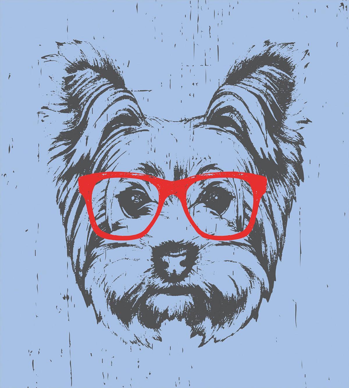 Fun Portrait Red Glasses — Pattern