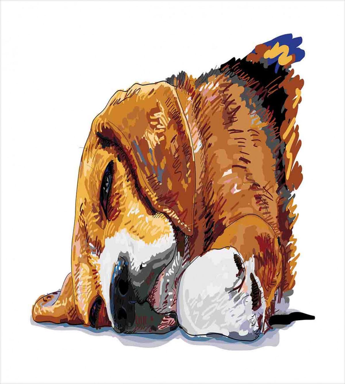Sleeping Puppy — Pattern