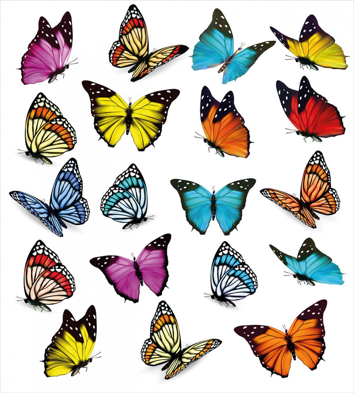 Butterflies Composition — Pattern