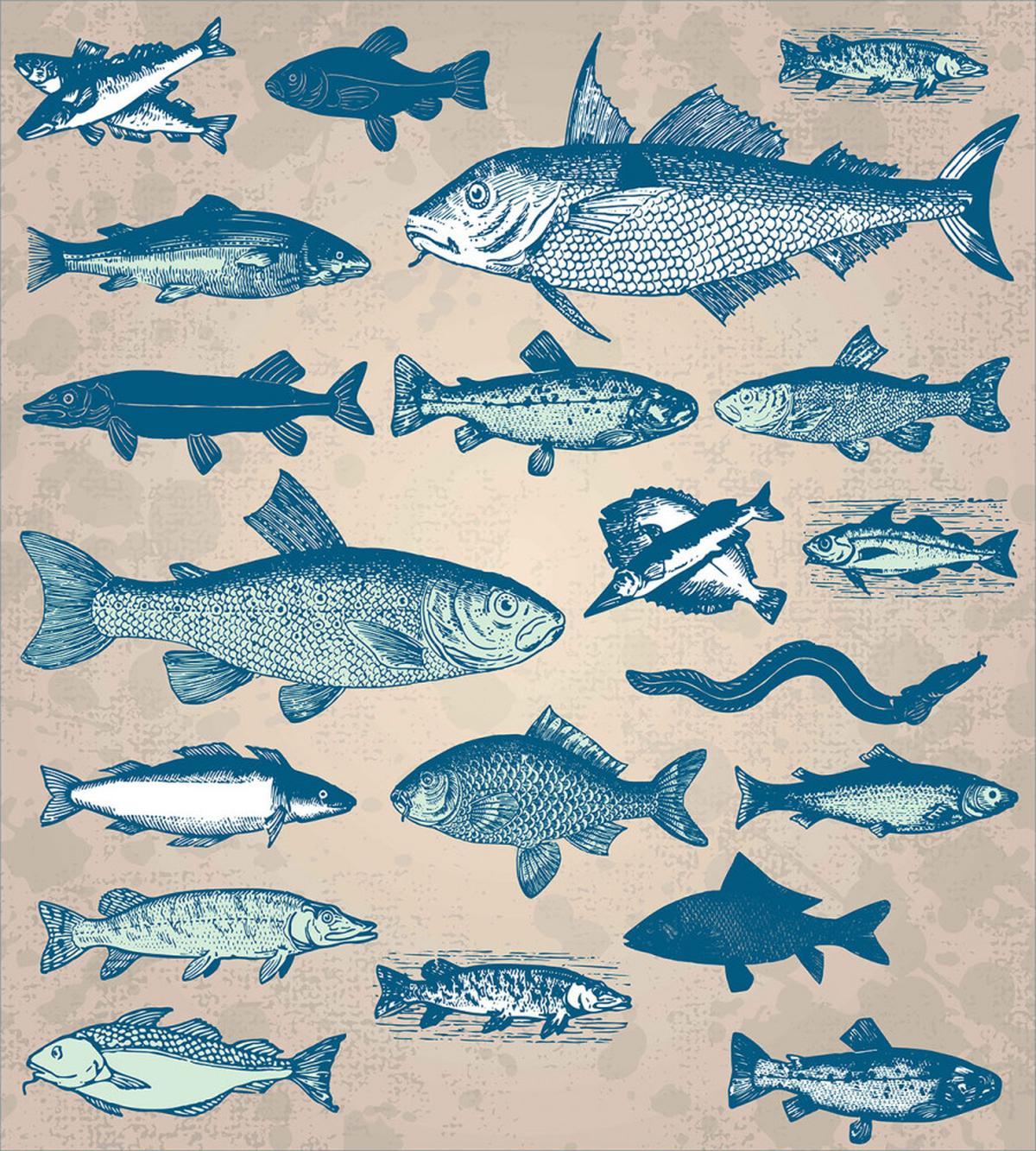 Vintage Seafood Composition — Pattern