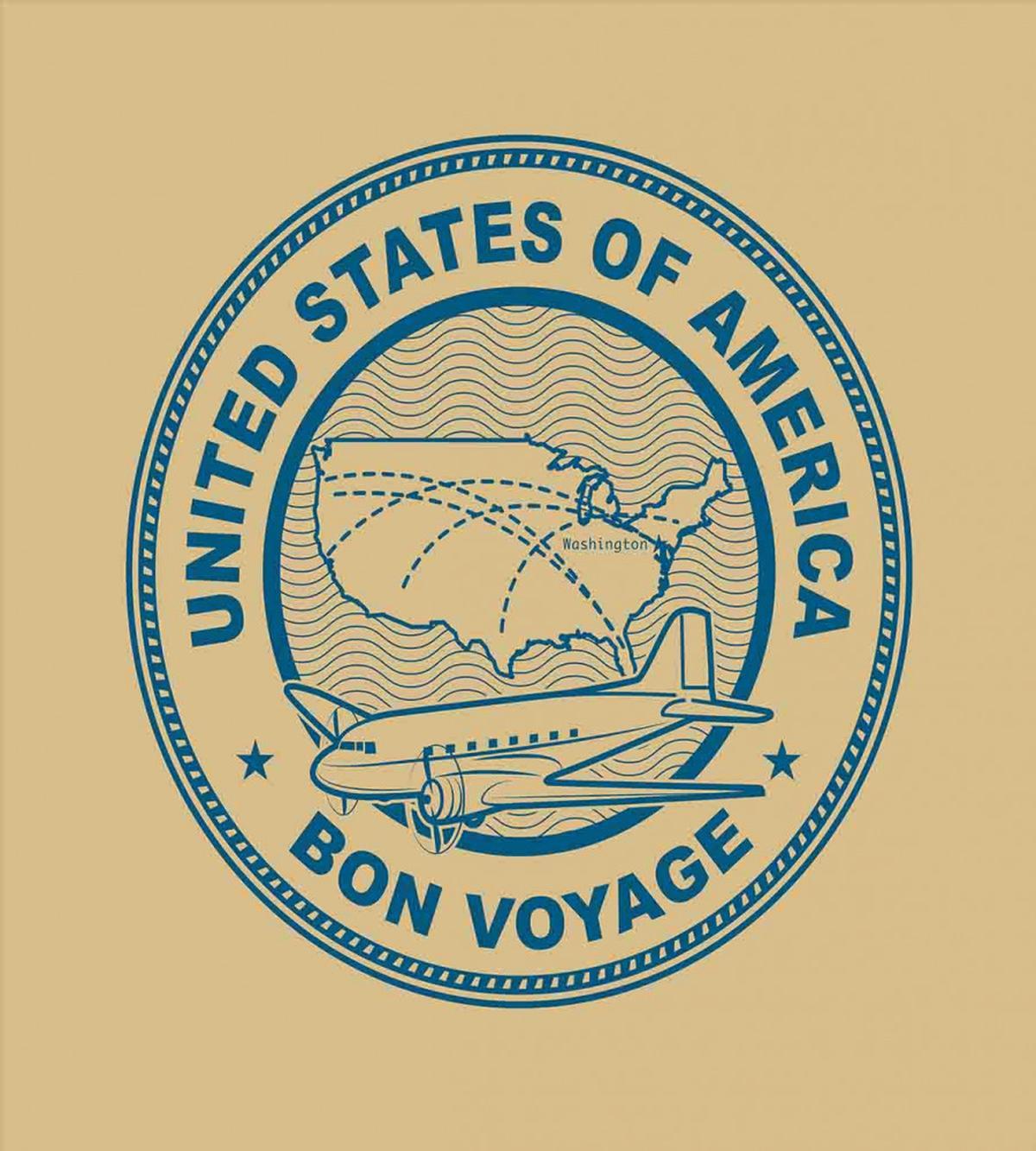 United States Map Plane — Pattern