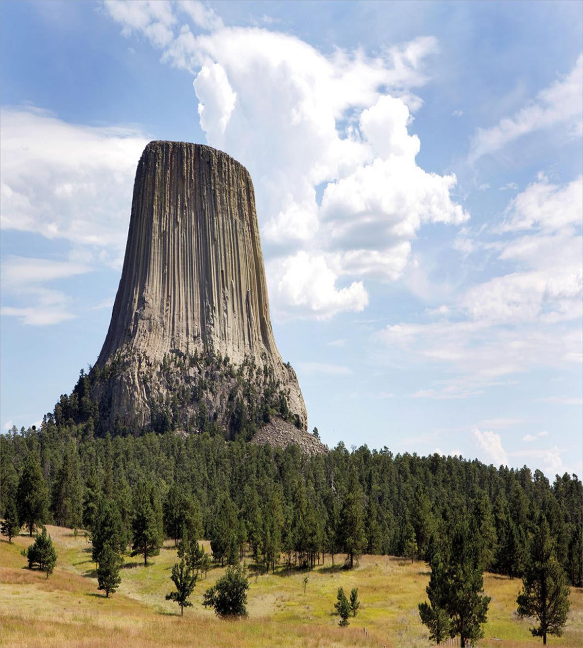 Devils Tower Photo — Pattern