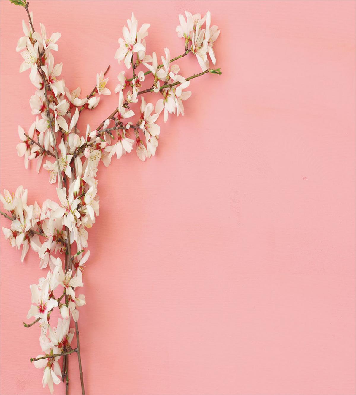 Tree on Pastel Pink — Pattern
