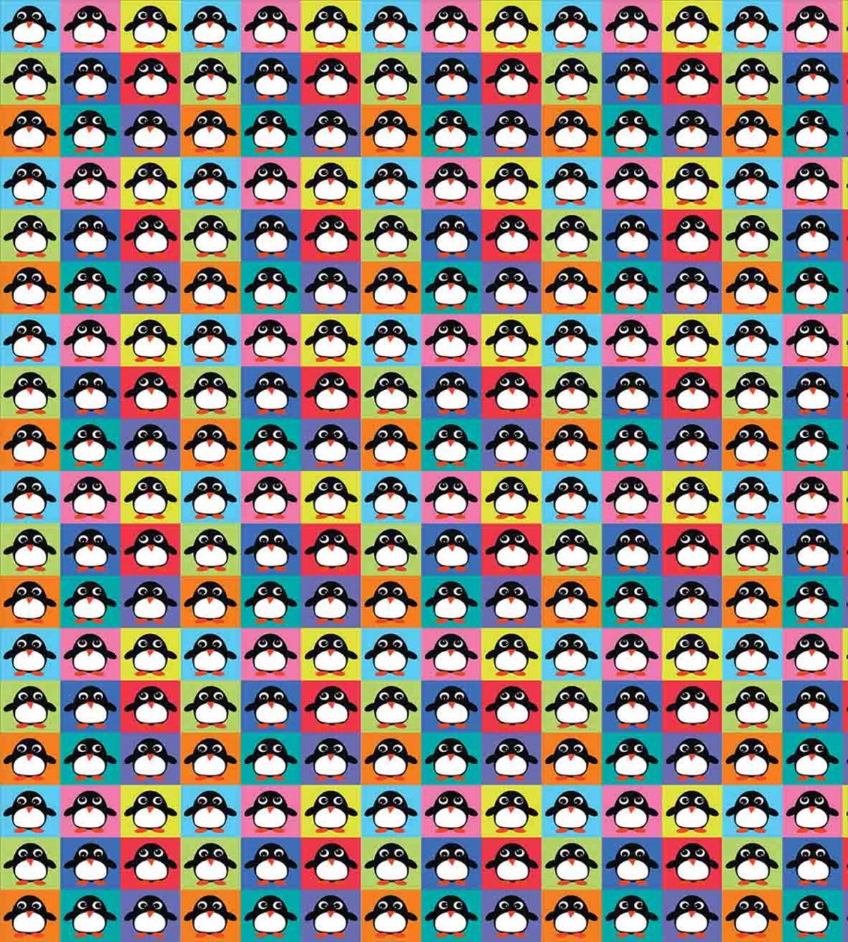 Colorful Frame Animals — Pattern
