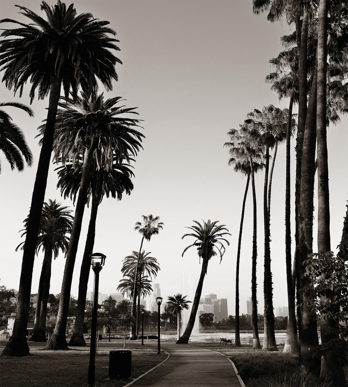 Los Angles Park View — Pattern