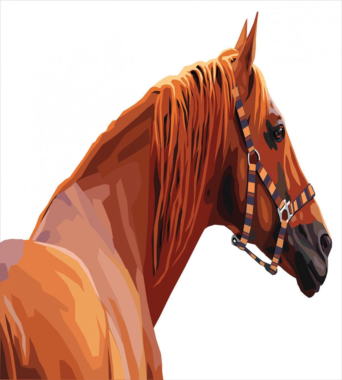 Race Jokey Horse Nature — Pattern