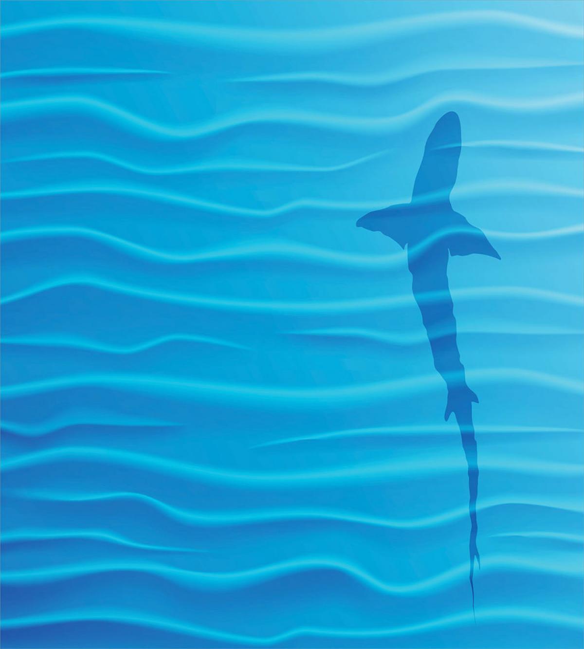 Wild Shark in Ocean — Pattern
