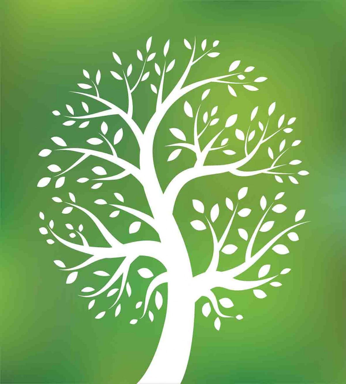 Ecological Tree — Pattern
