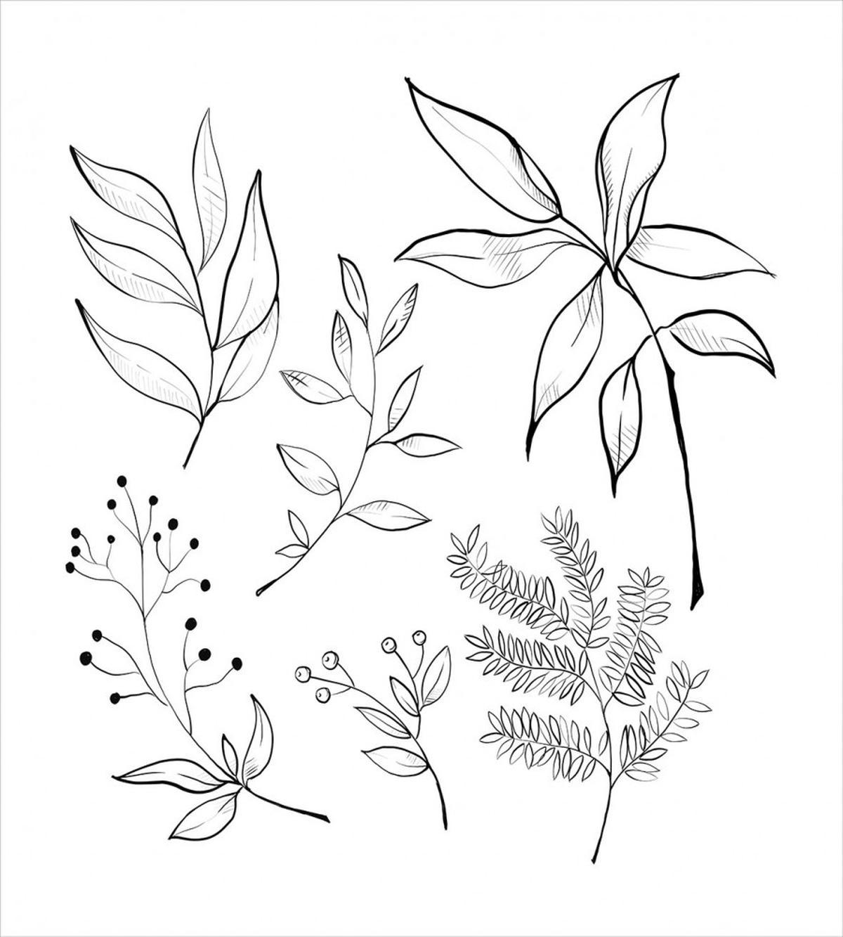 Sketched Botanical Theme — Pattern