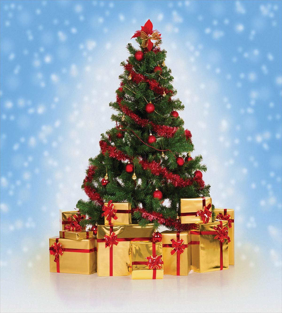 Fir Tree Snowy Weather — Pattern