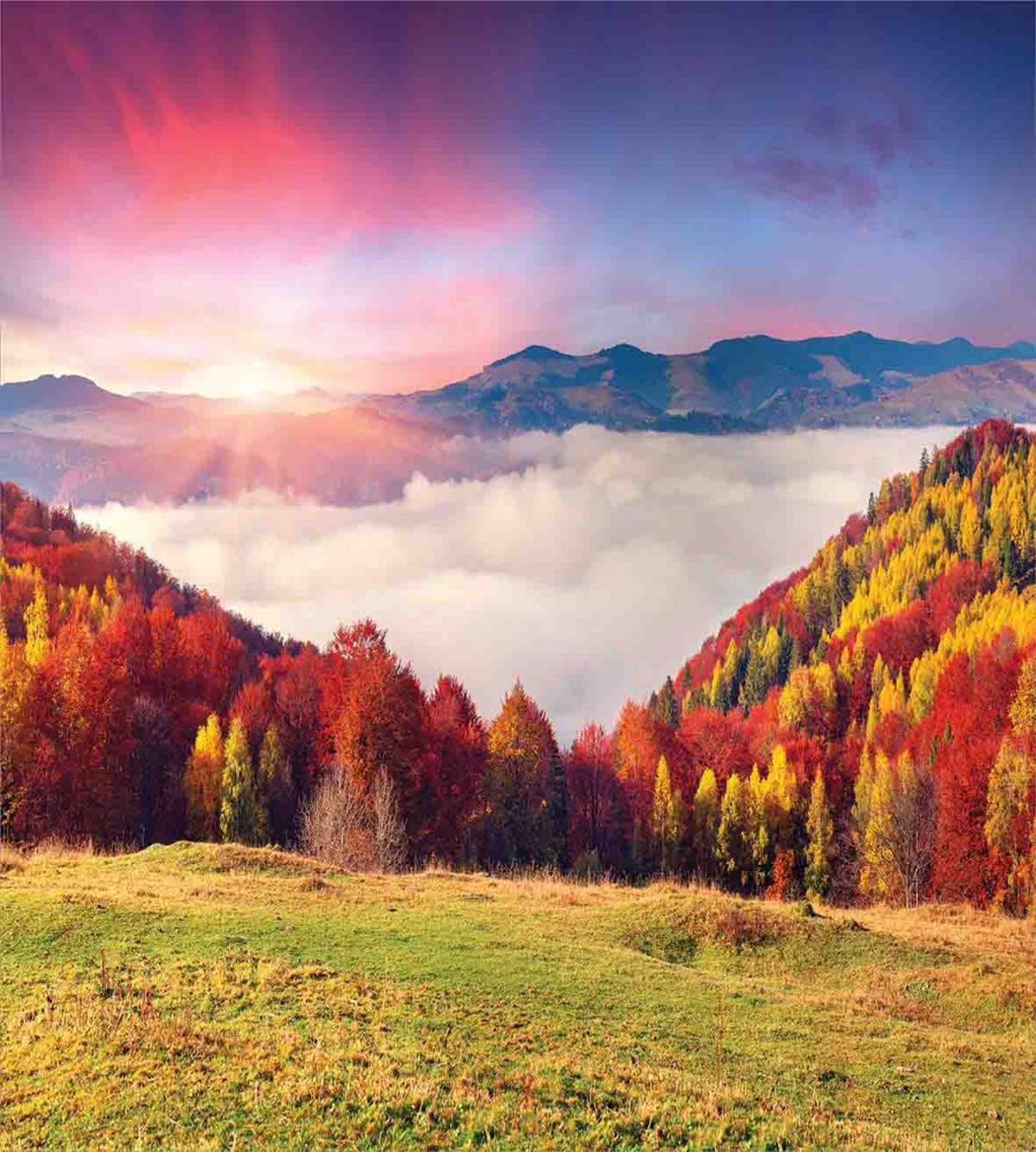 Fall Morning Mountain — Pattern