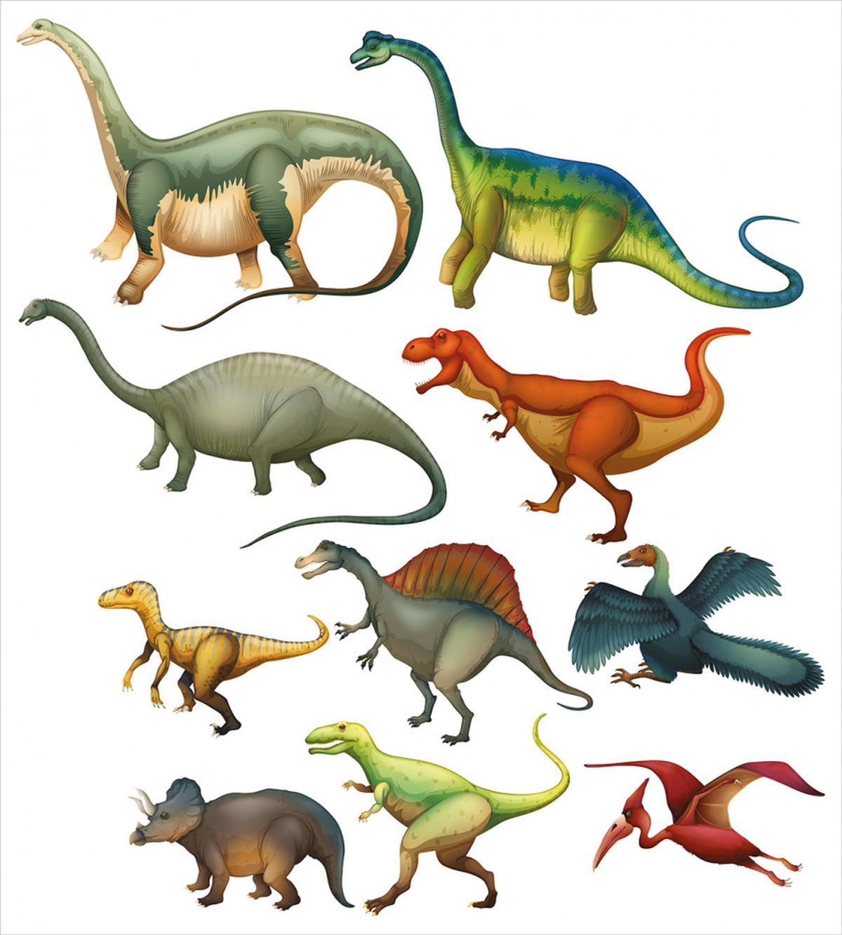 Jurassic Composition — Pattern