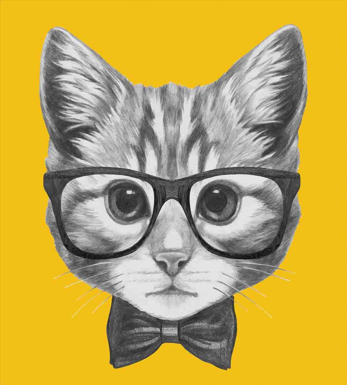 Baby Hipster Kitten Cat — Pattern
