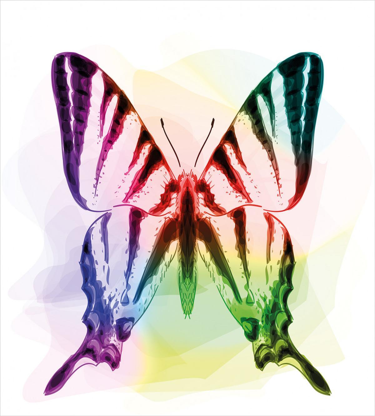 Butterfly Rainbow — Pattern