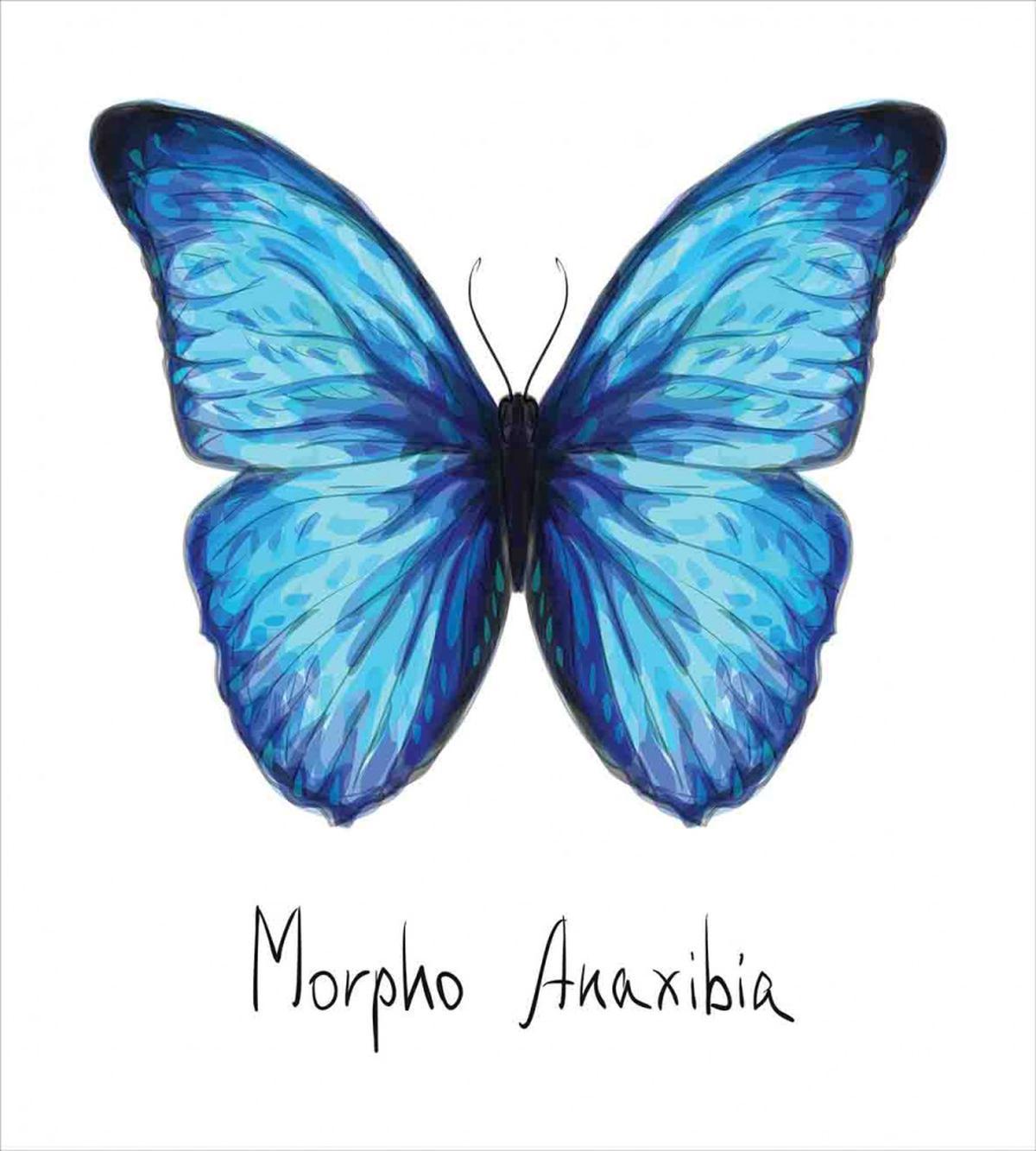 Abstract Butterfly — Pattern