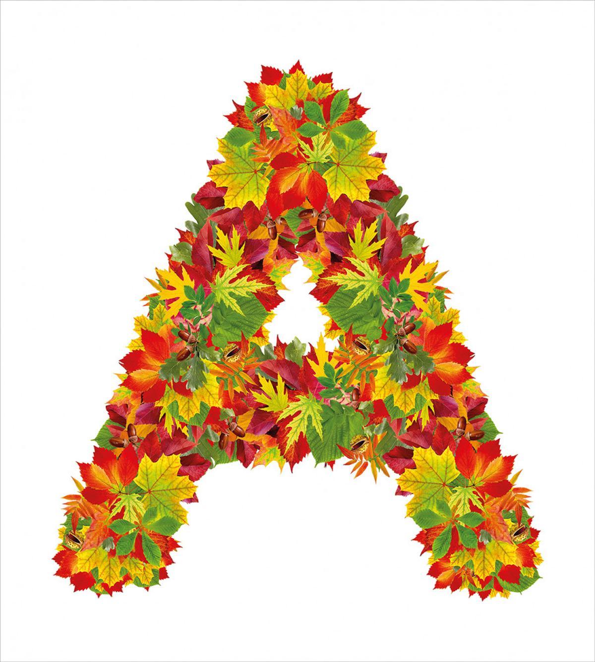 Autumn Themed Capital — Pattern