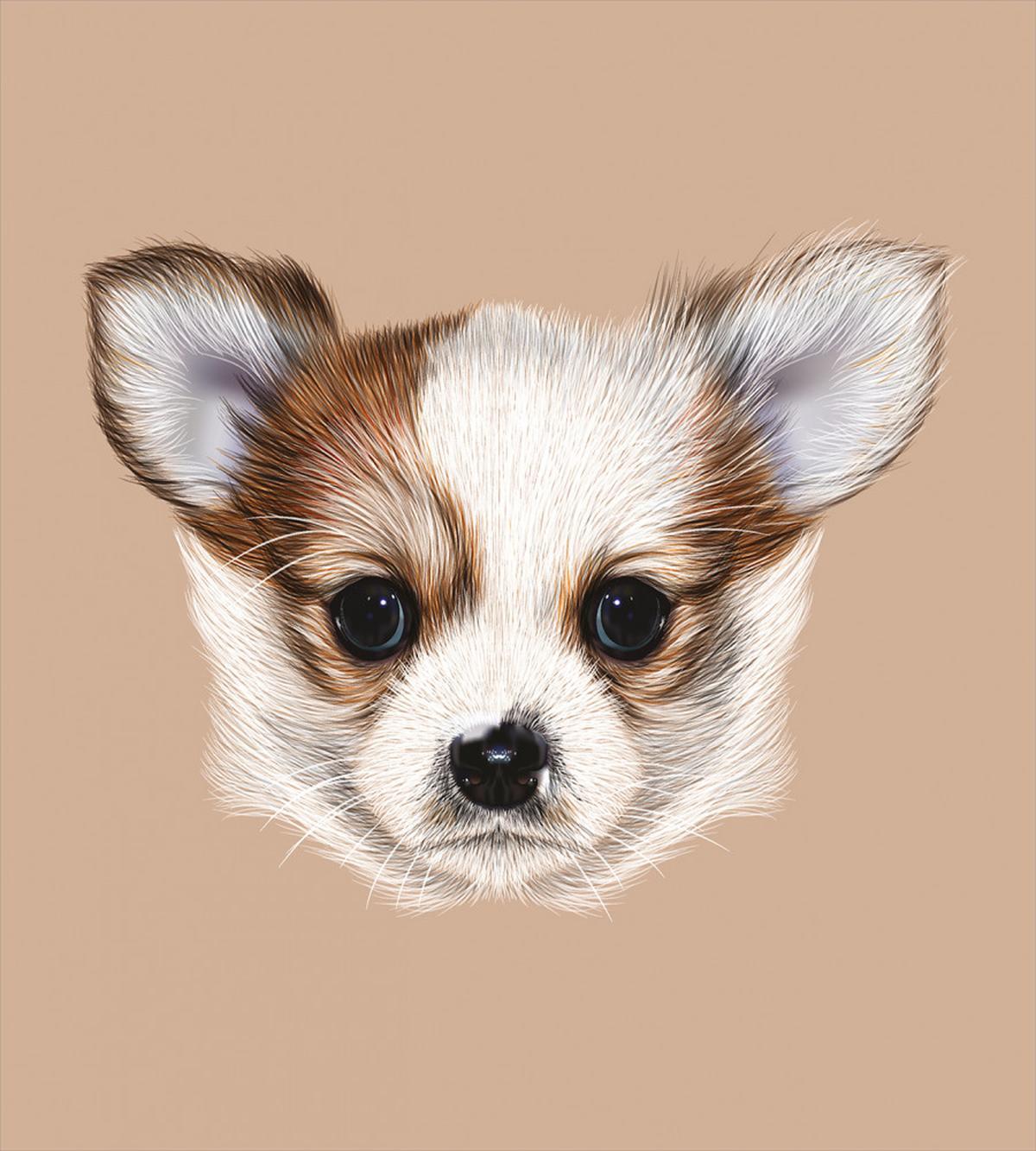 Little Furry Friend — Pattern