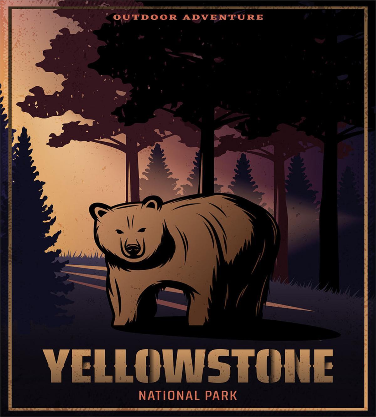 Bear at Yellowstone Forest — Pattern