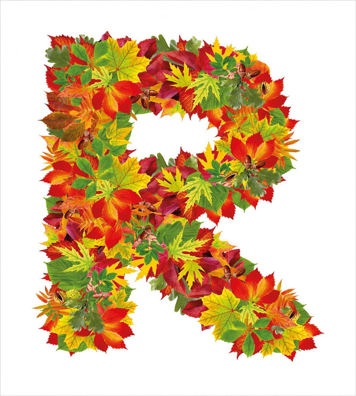 Floral R Maple Leaves — Pattern