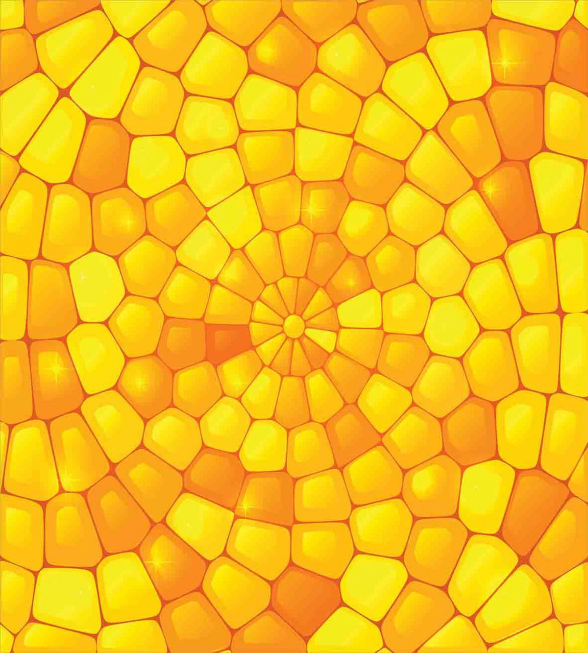 Abstract Corn Pattern — Pattern