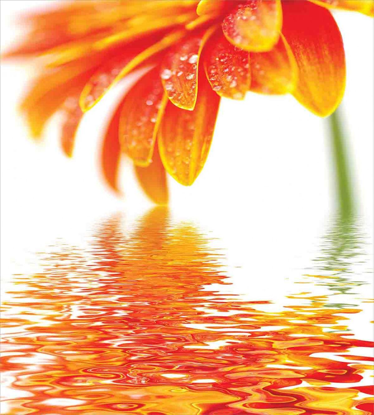 Sun Flower Reflection — Pattern