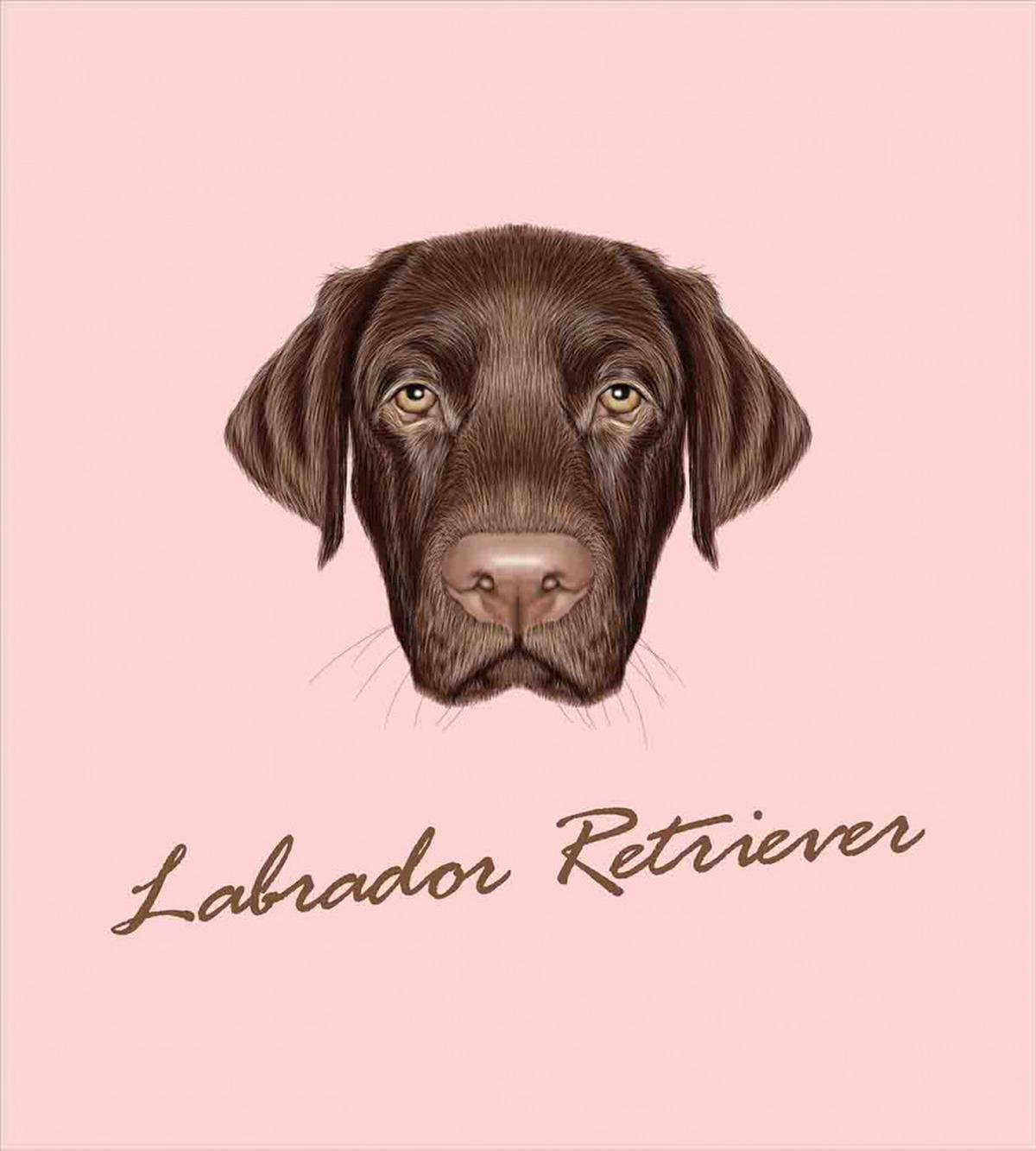 Modern Retriever Portrait — Pattern