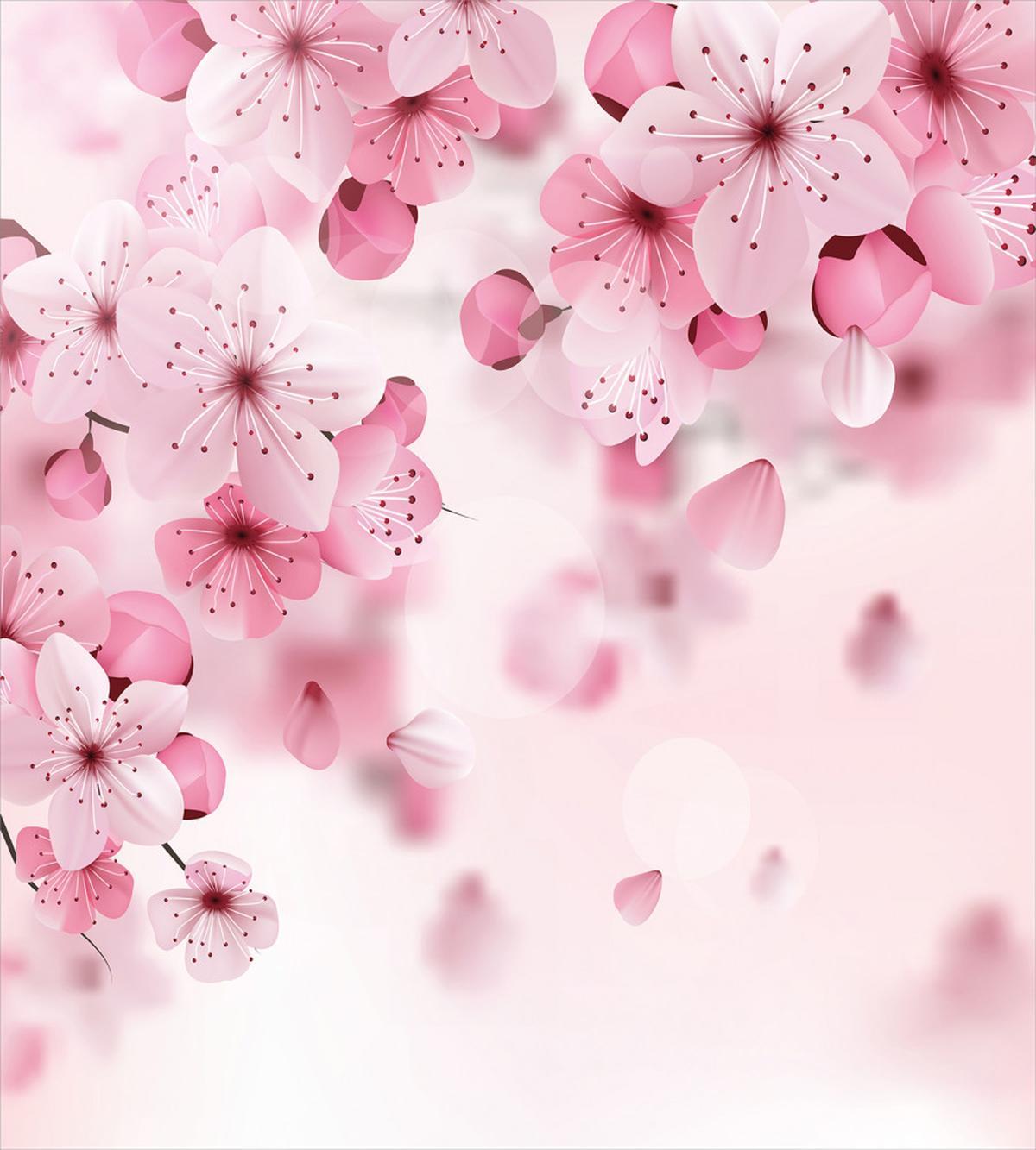 Eastern Sakura Flowers — Pattern