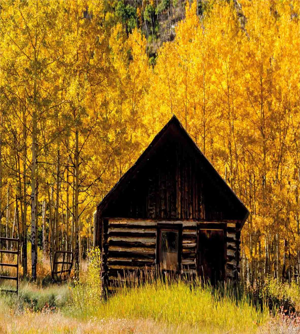 Farmhouse in Aspen Tree — Pattern