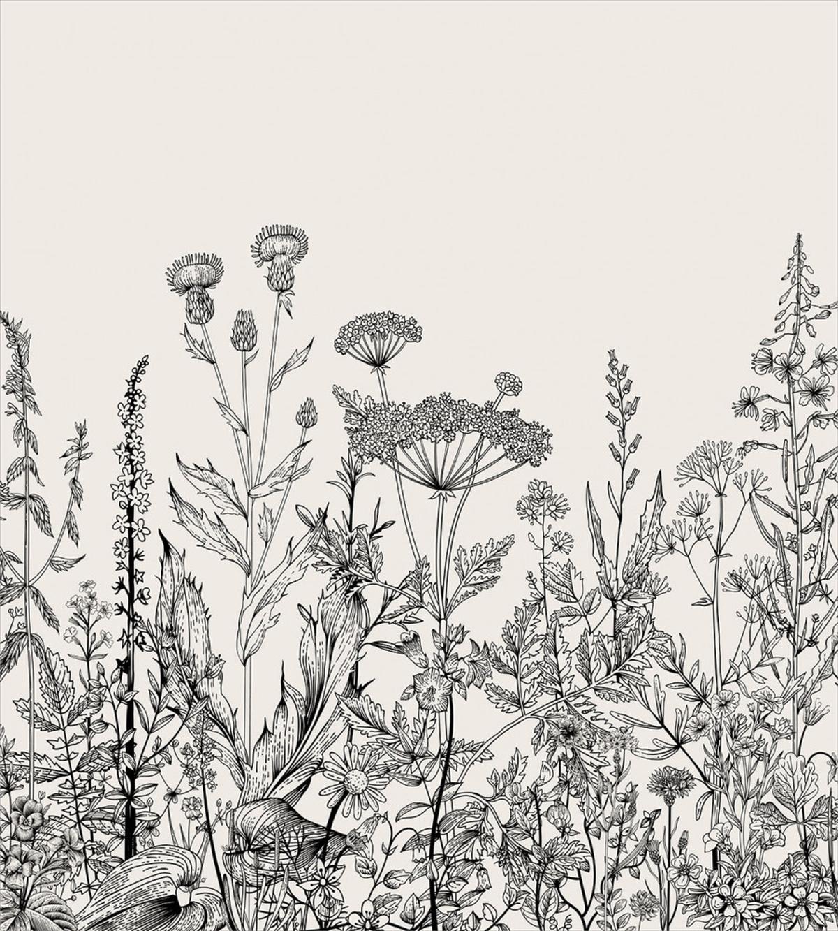 Wildflower Botanical Country — Pattern