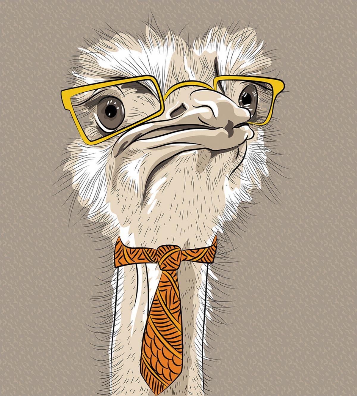 Funny Hipster Ostrich — Pattern