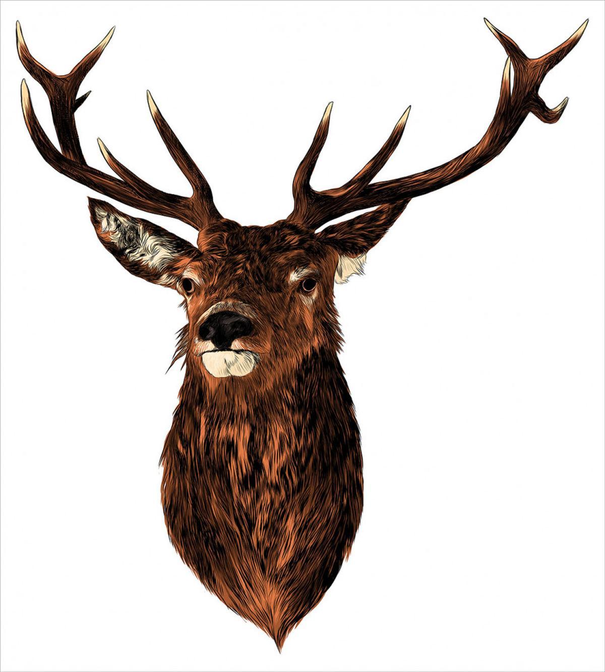 Stuffed Animal Head — Pattern