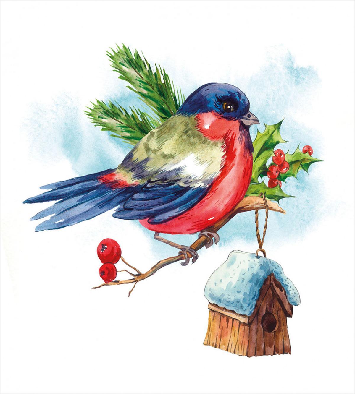 Christmas Bird Holly Pine — Pattern