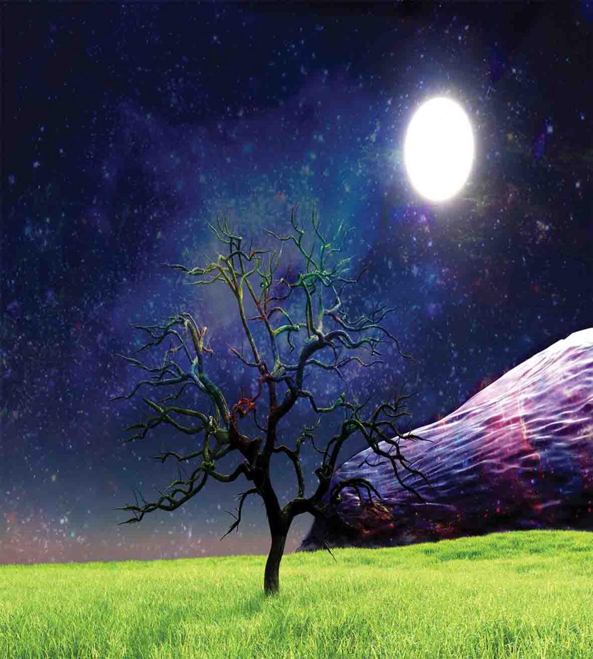 Full Moon Galaxy Grass — Pattern