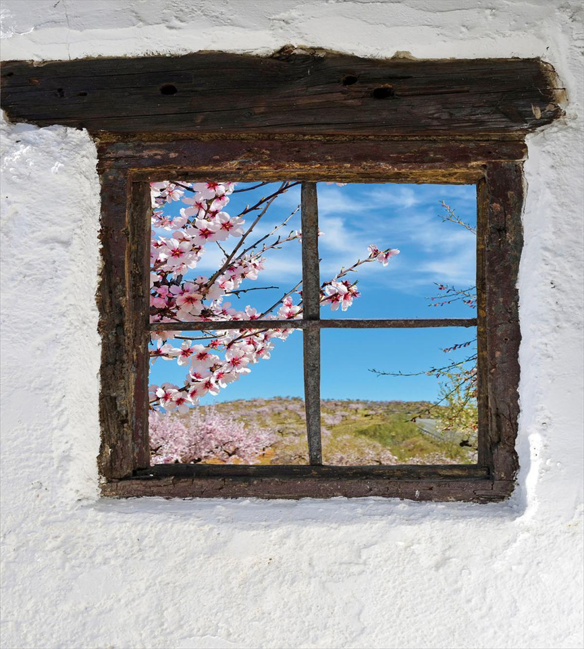 Pastoral Style Photo — Pattern