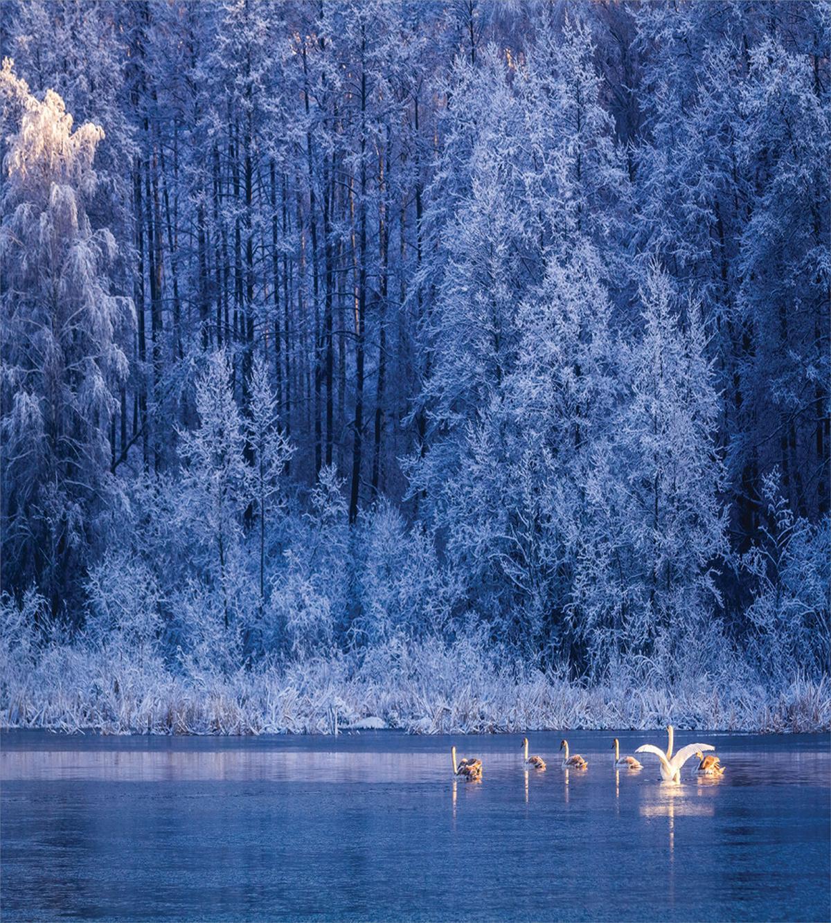 Idyllic Nature Rural — Pattern