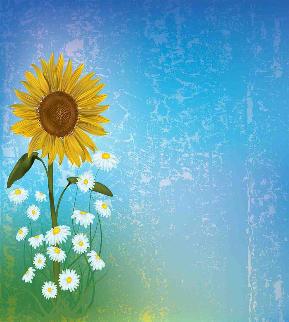Sunflowers Chamomiles — Pattern