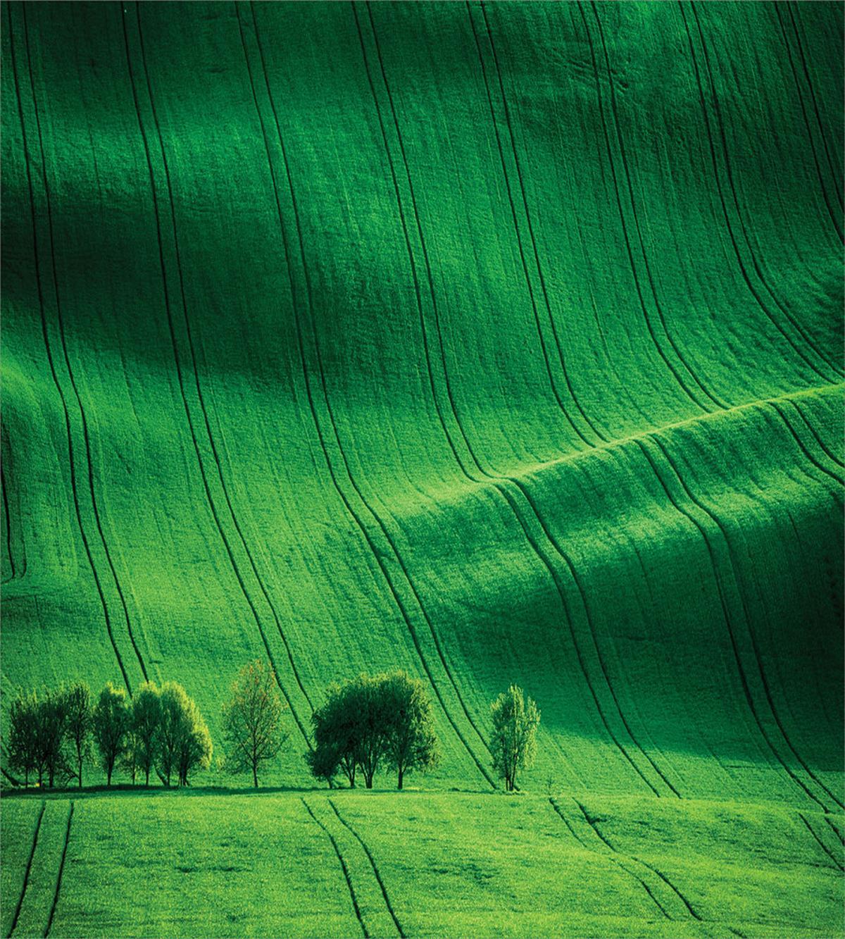 Meadow Fields Hills — Pattern