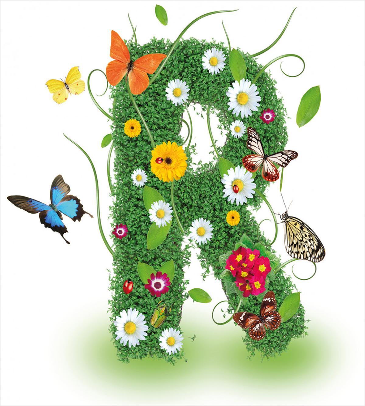 Flora and Fauna R — Pattern